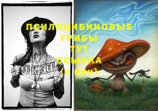 тгк Баксан