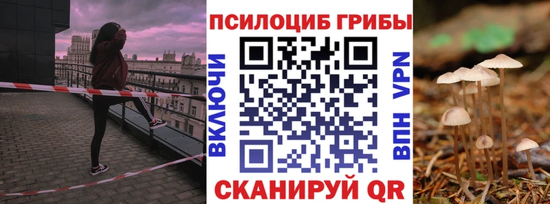 Галлюциногенные грибы Cubensis Первомайск